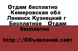 Отдам бесплатно )) - Кемеровская обл., Ленинск-Кузнецкий г. Бесплатное » Отдам бесплатно   